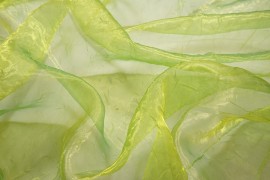 Organtyna kreszowana - zielono-żółta