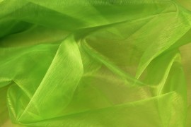 Organtyna jednotonowa – Green
