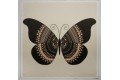 Panel poduszkowy - motyl na beżowym tle