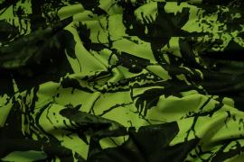 Tkanina kamuflażowa w kolorze seledynowym