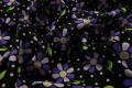 Bawełna - fioletowe kwiatki na czarnym tle