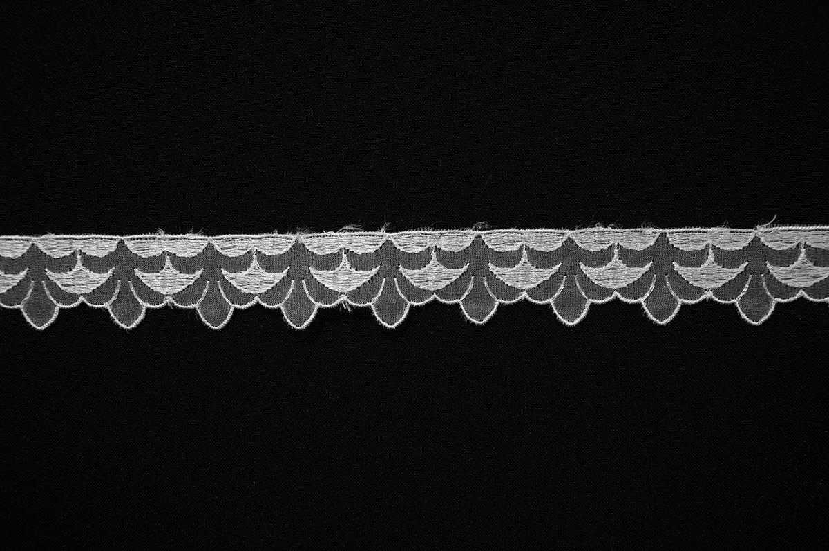 Taśma organtynowa haftowana - biała, 2,5 cm