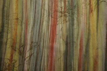 Jedwab - pastelowe pasy w kwiatami